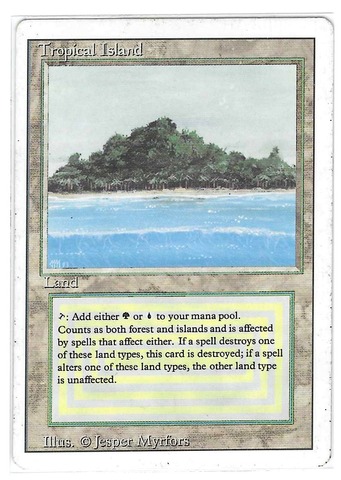 Tropical Island (#734)